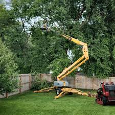 Best Tree Mulching Services  in Farmersville, CA